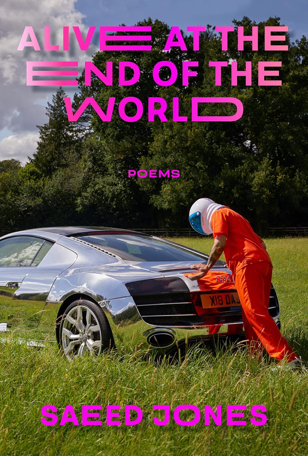 book cover for Alive at the End of the World