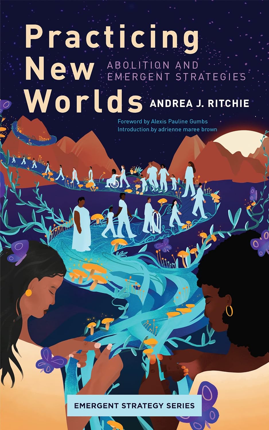 book cover for Practicing New Worlds
