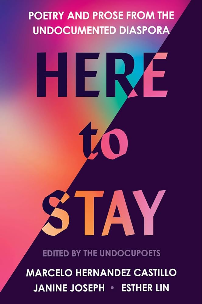 book cover for Here to Stay
