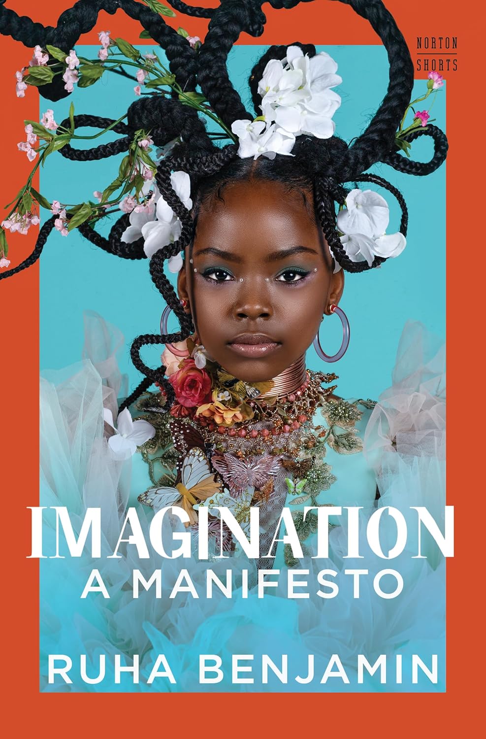 book cover for Imagination