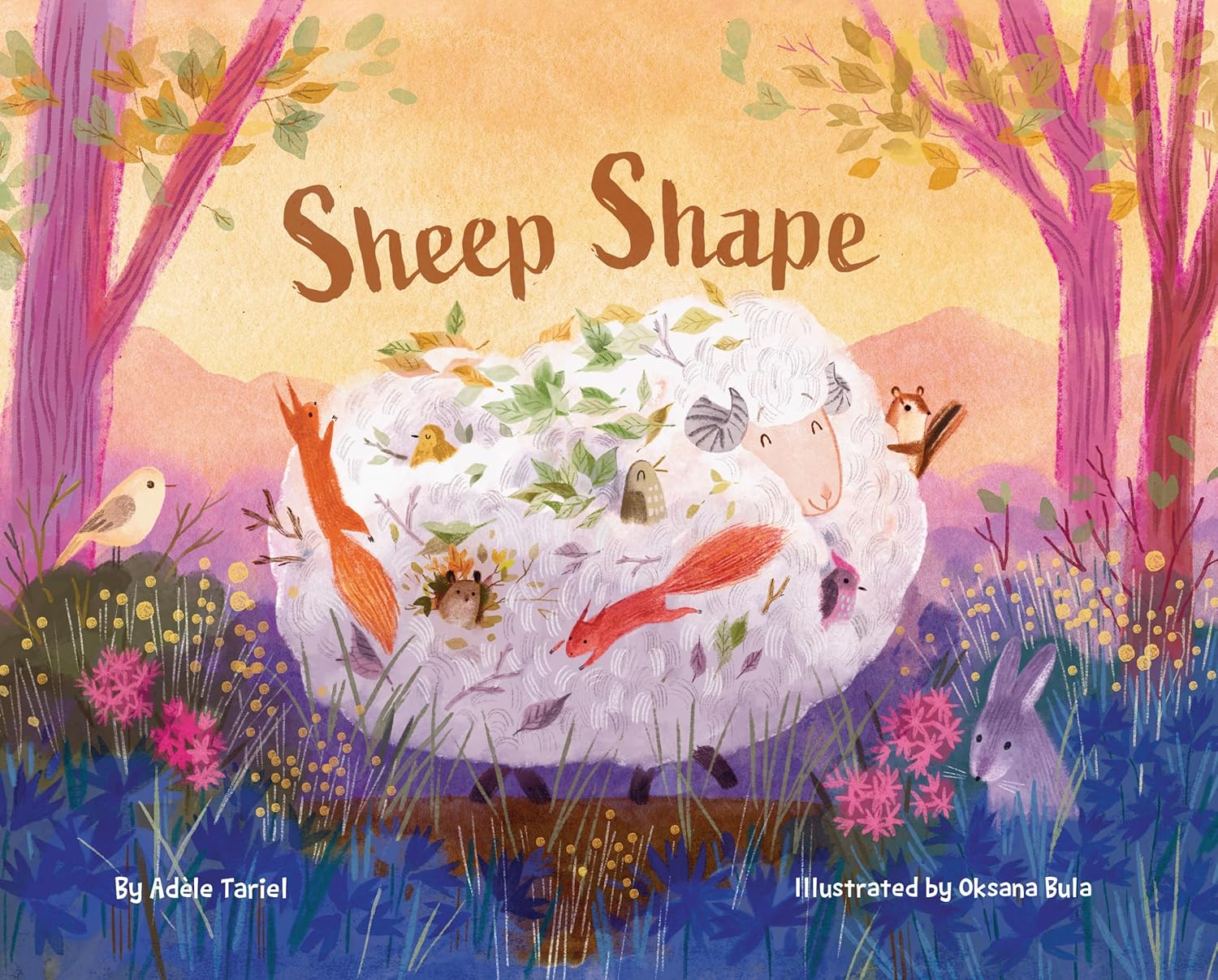 book cover for Sheep Shape