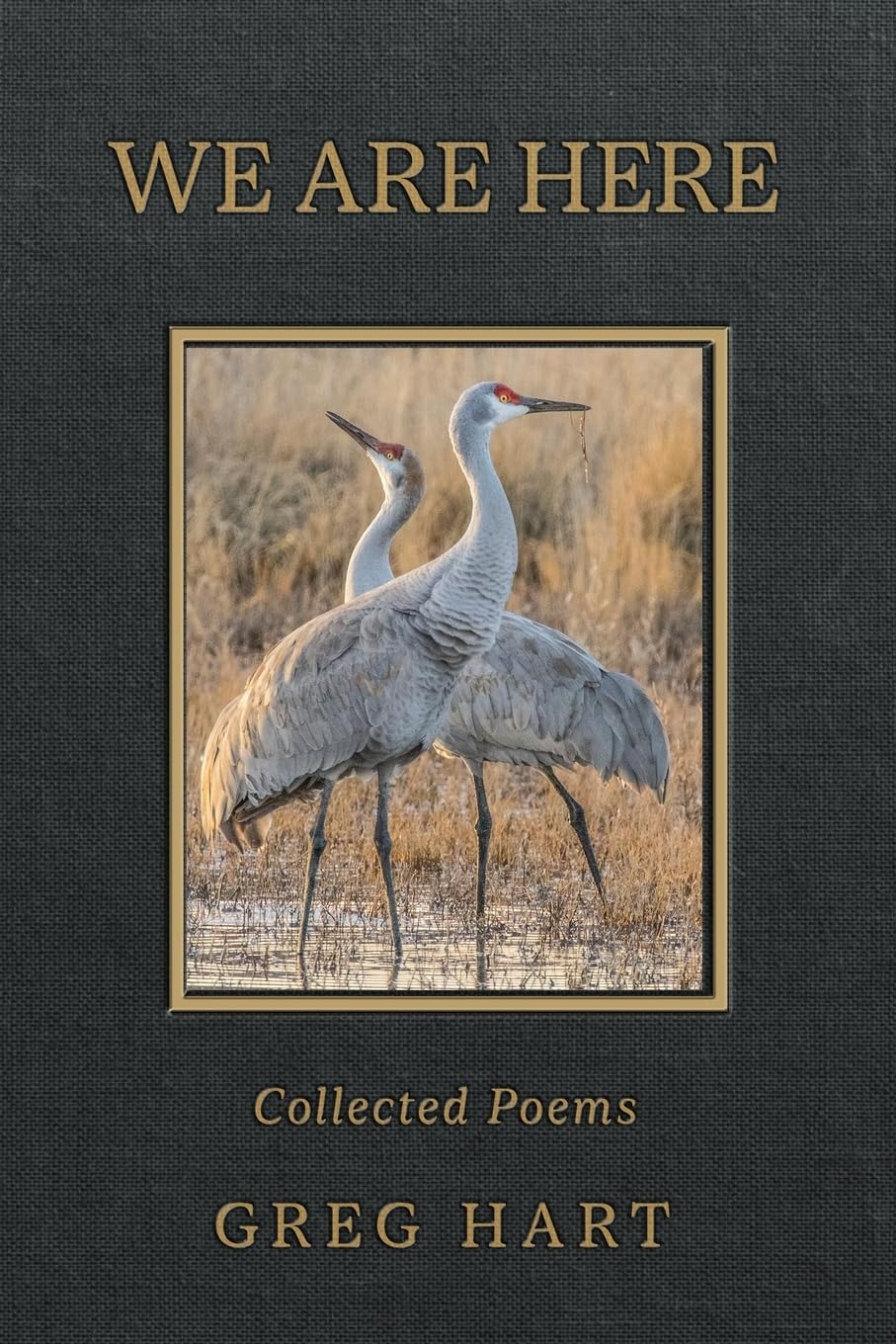 book cover for 'We Are Here: Collected Poems'