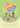book cover for The Every Body Book
