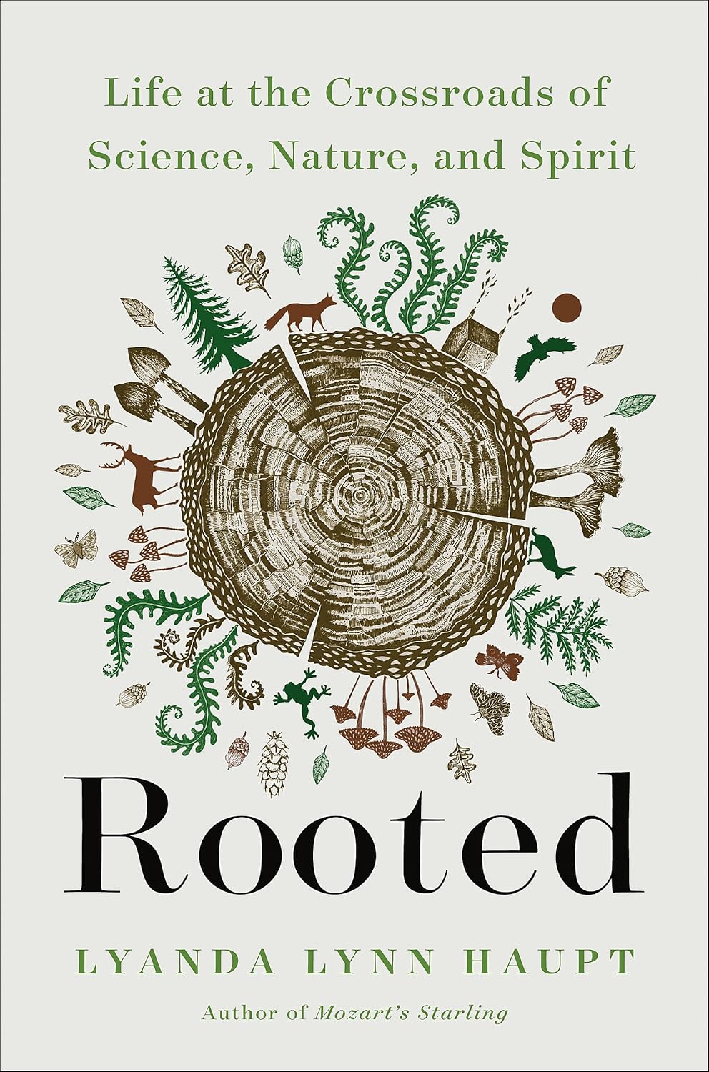 book cover for Rooted