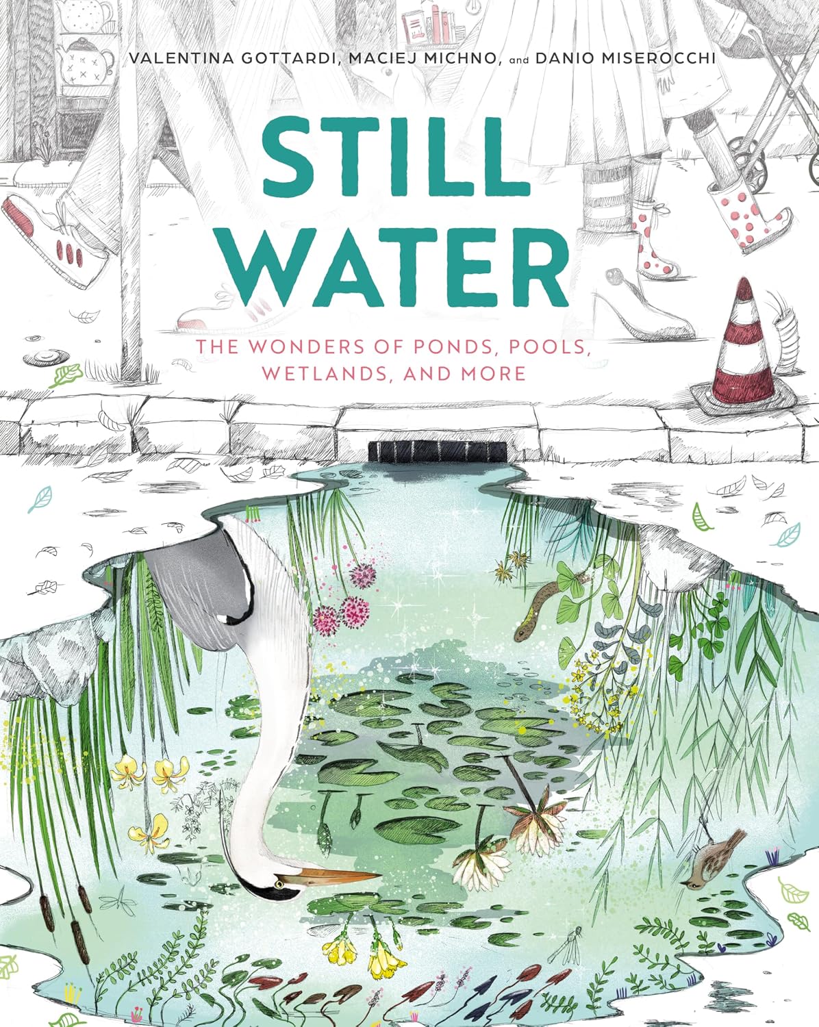 Book cover for 'Still Water: The Wonders of Ponds, Pools, Wetlands, and More'